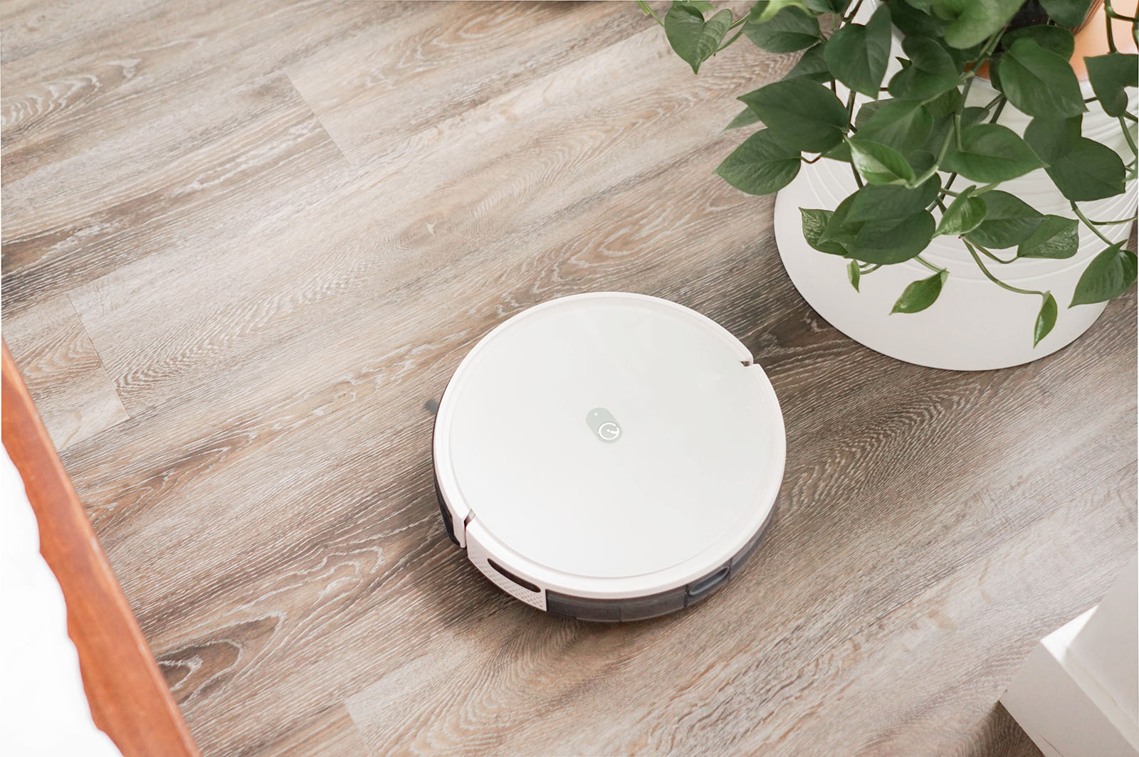 Yeedi K650 vacuum running on the floor by a plant