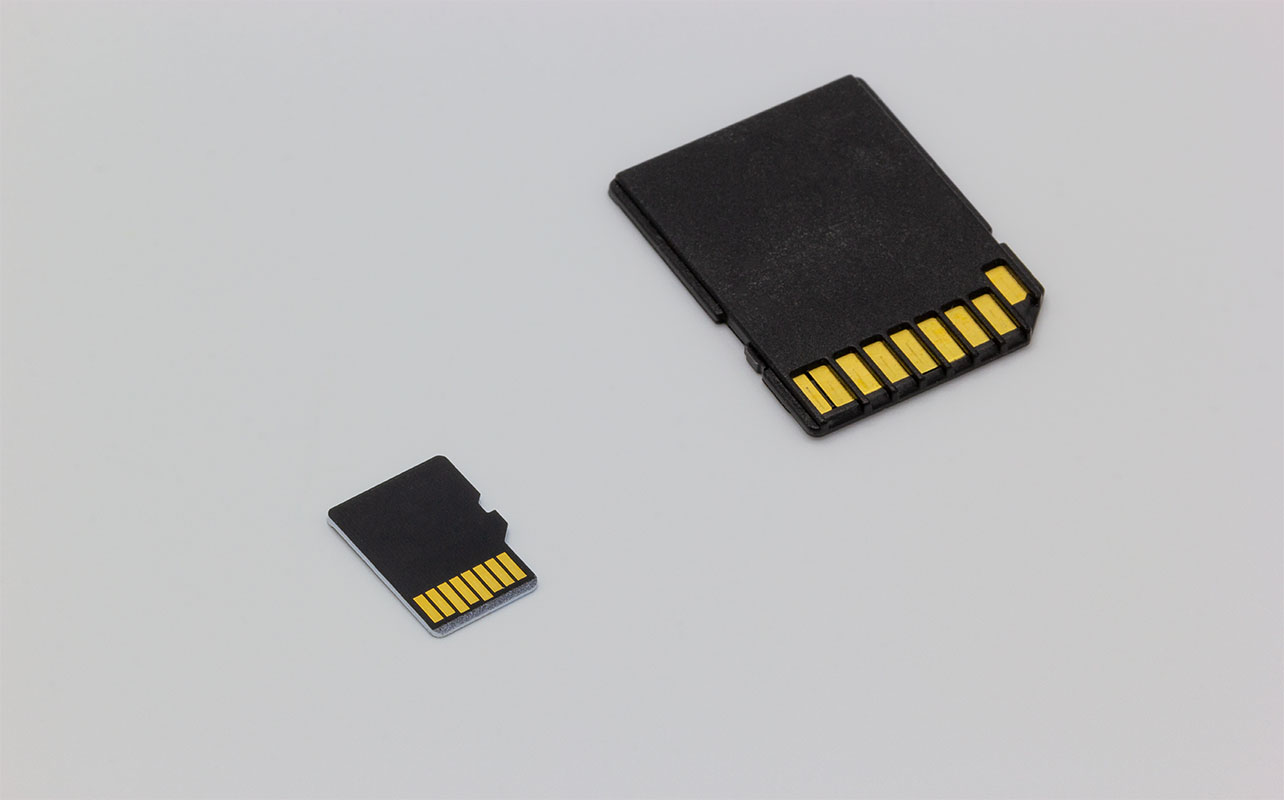 A MicroSD card and regular sized SD card